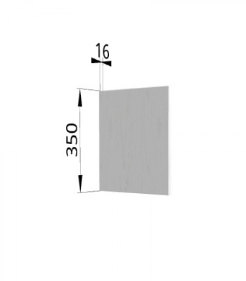 Панель торцевая (для шкафа горизонтального) ПГ Ройс (Графит софт) в Северном - severnoe.mebel54.com | фото