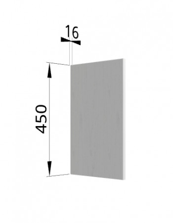 Панель торцевая (для шкафа горизонтального высокого) ВПГ Ройс (Графит софт) в Северном - severnoe.mebel54.com | фото